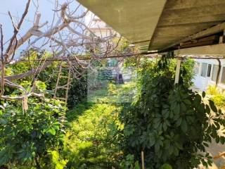 STRUCTURE COEFFICIENT 0.5