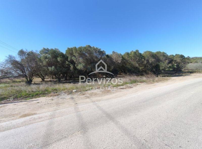 Άποψη χώρου