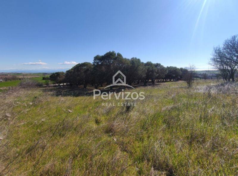 Άποψη χώρου