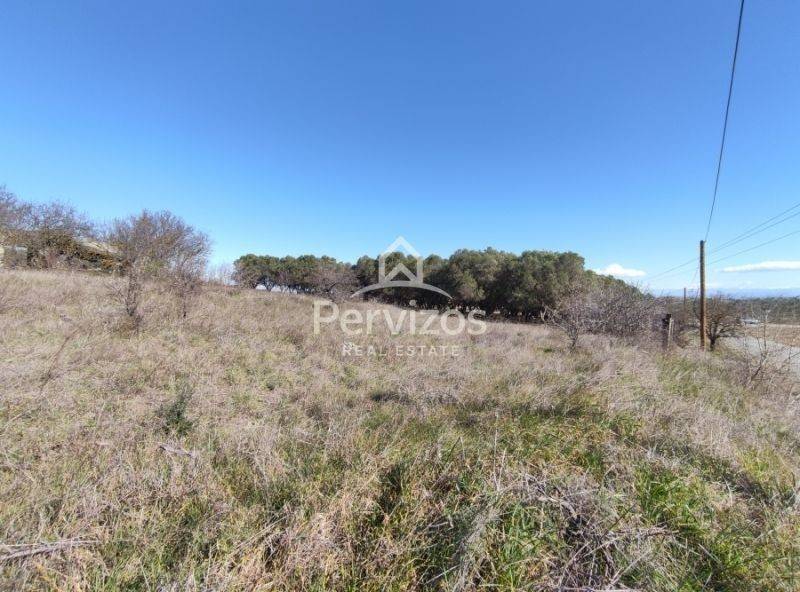 Άποψη χώρου