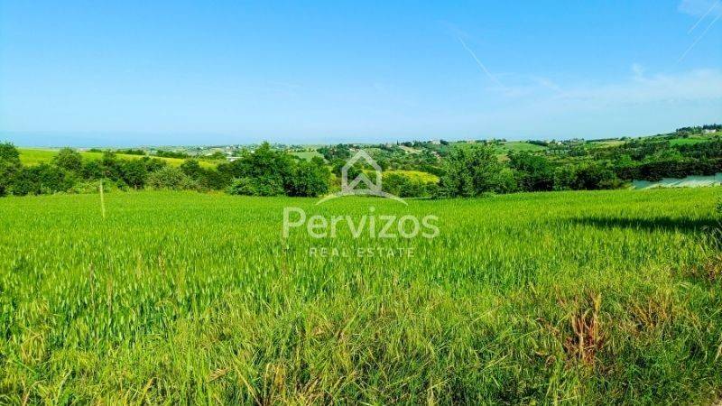 Άποψη χώρου