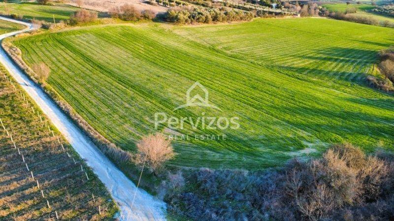 Άποψη χώρου