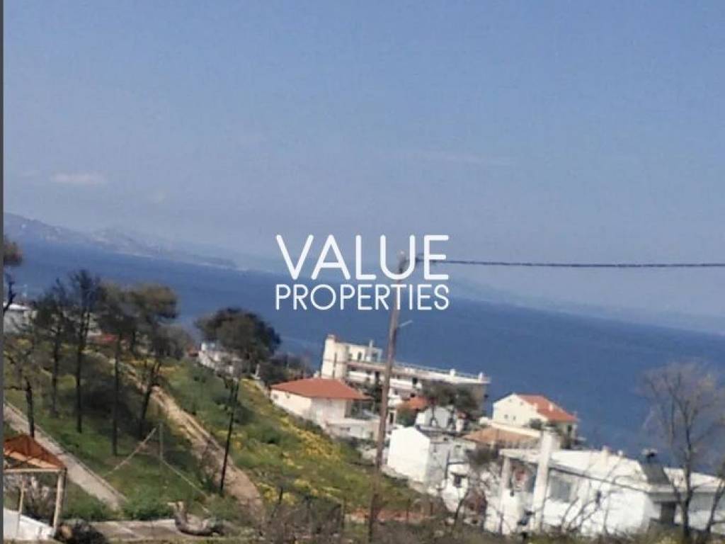 Εξωτερικοι χώροι