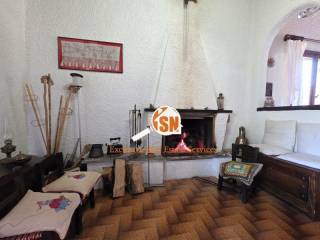 Ύπαρξη ανθρώπου