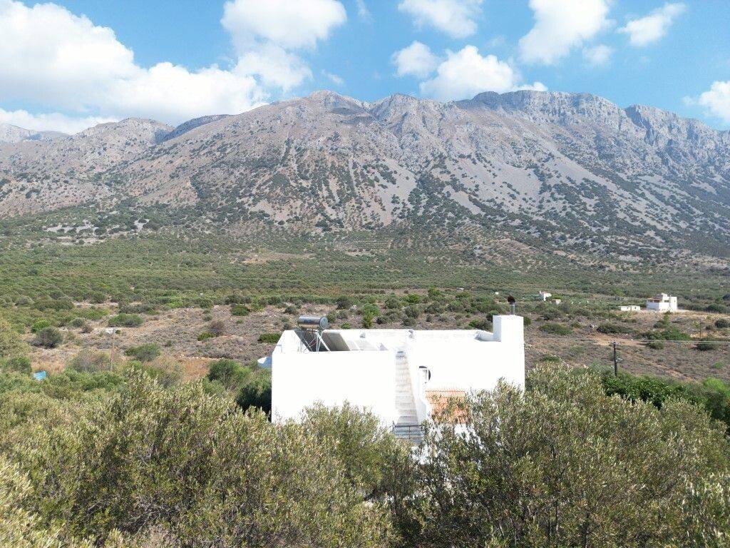 Detached - Grekodom 56364|801630