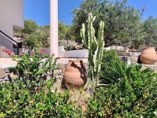 Detached - Grekodom 56364|801635