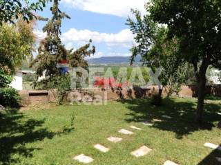 Ύπαρξη ανθρώπου