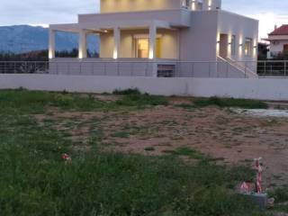 Detached - Grekodom 65445|1048550