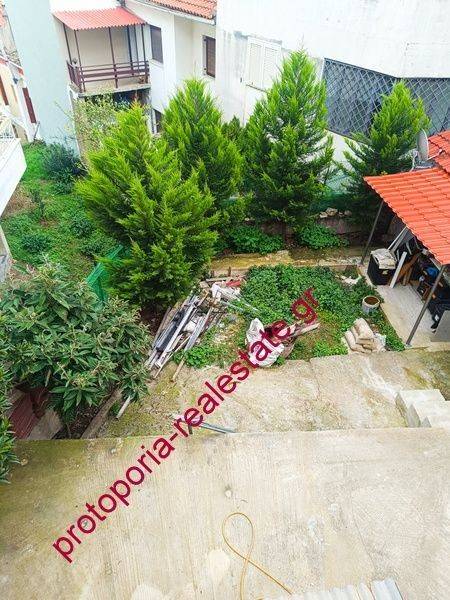 ΑΥΛΗ -ΚΗΠΟΣ