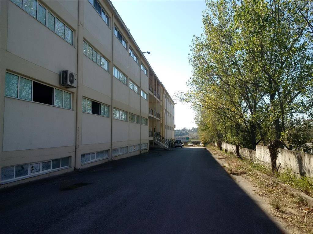 Building - Grekodom 28864|433690