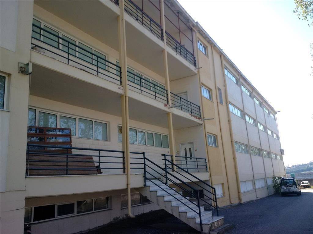 Building - Grekodom 28864|433691