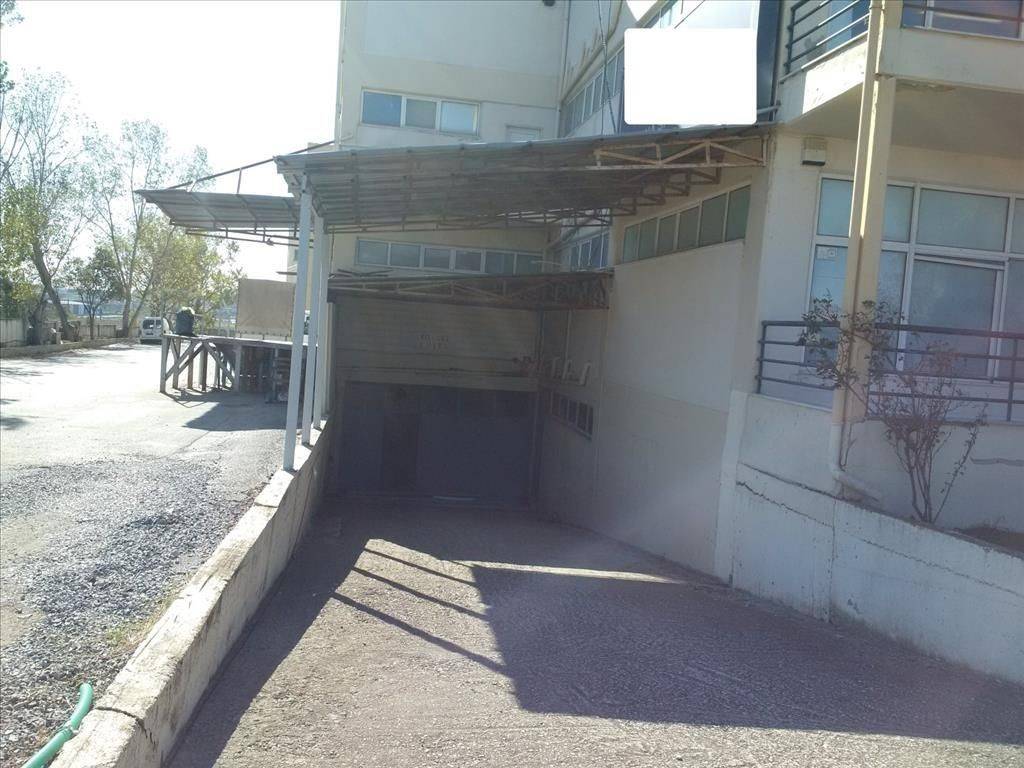 Building - Grekodom 28864|433702