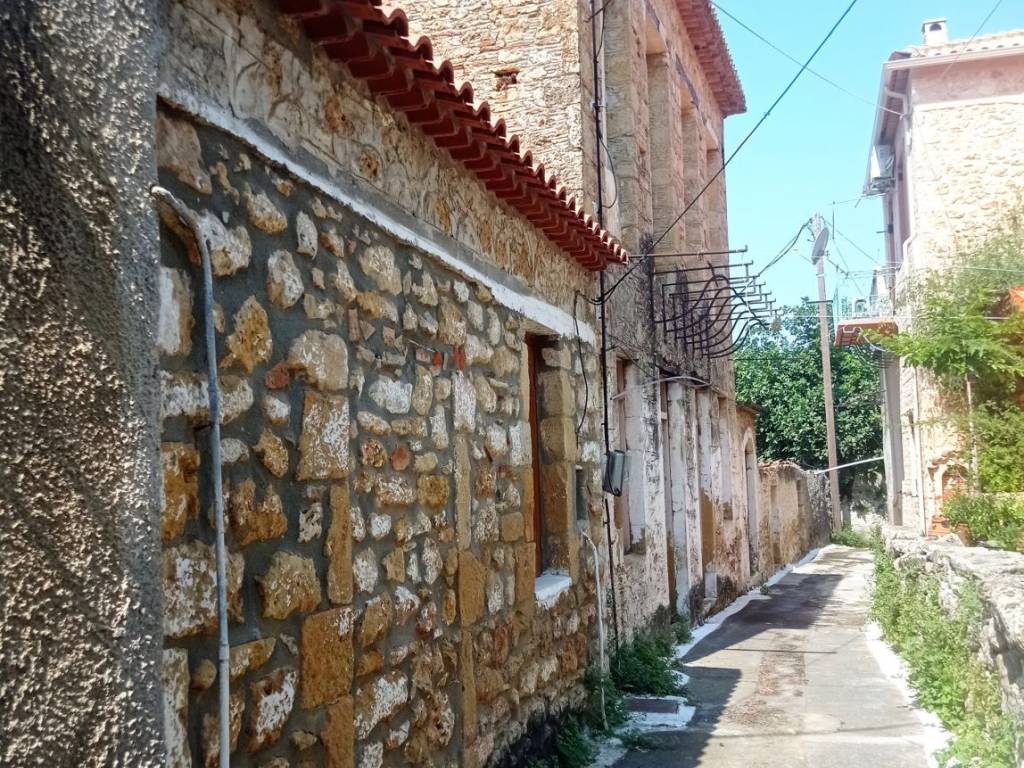 Εξωτερικοι χώροι