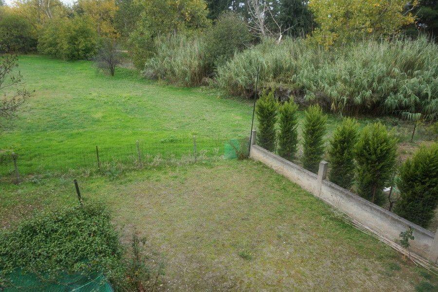 Οικόπεδο και κήπος.