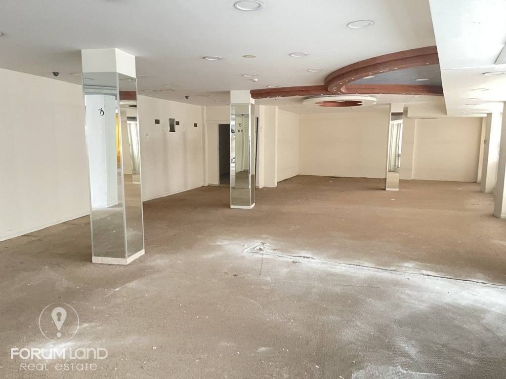 Forumland Real Estate, Επαγγελματικός χώρος