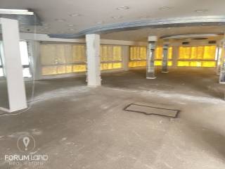 Forumland Real Estate, Επαγγελματικός χώρος