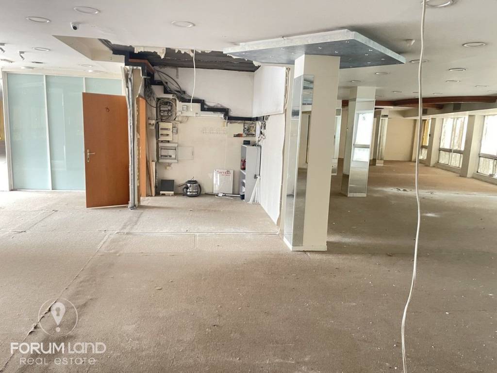 Forumland Real Estate, Επαγγελματικός χώρος