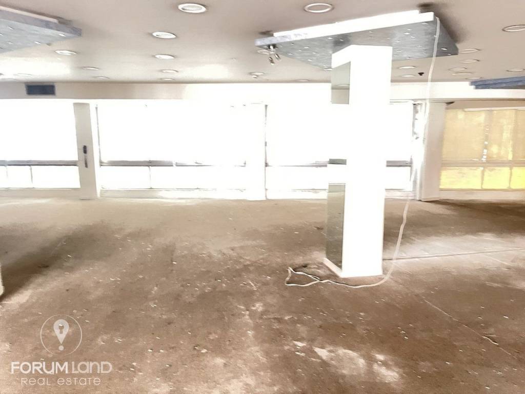 Forumland Real Estate, Επαγγελματικός χώρος