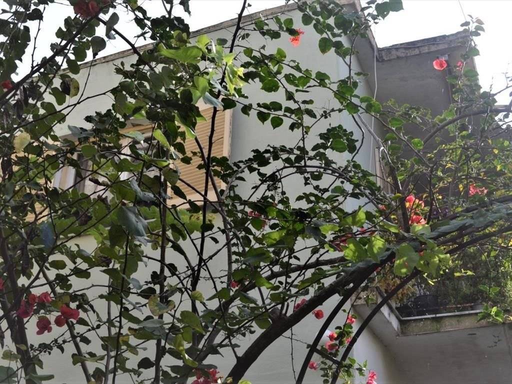 Detached - Grekodom 42192|620333