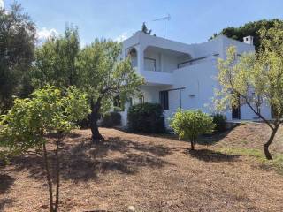 Εξωτερικοι χώροι