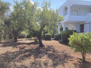 Εξωτερικοι χώροι