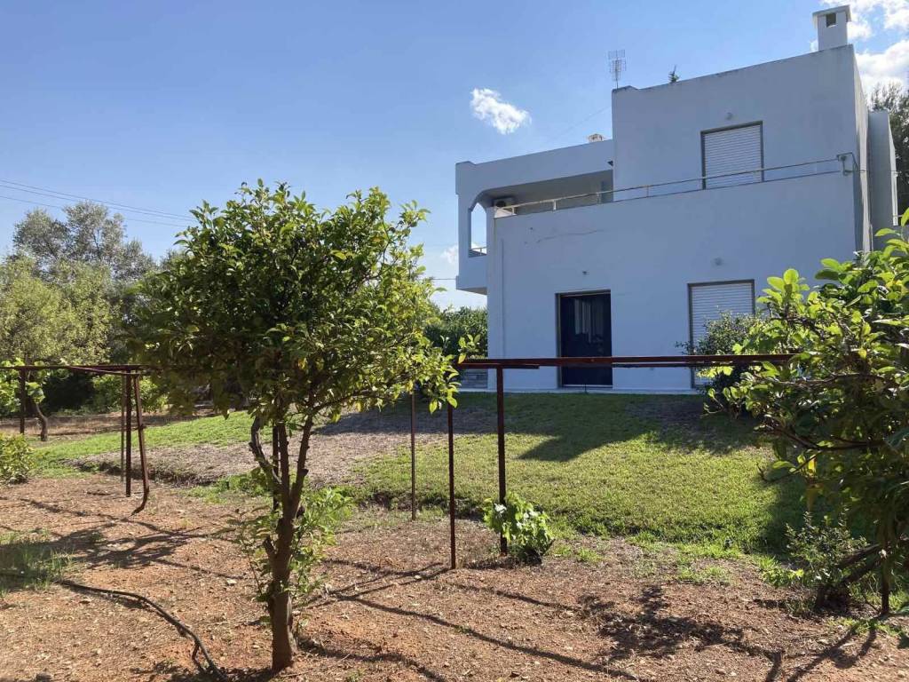 Εξωτερικοι χώροι