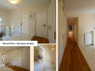 Forumland Real Estate, Διάδρομος