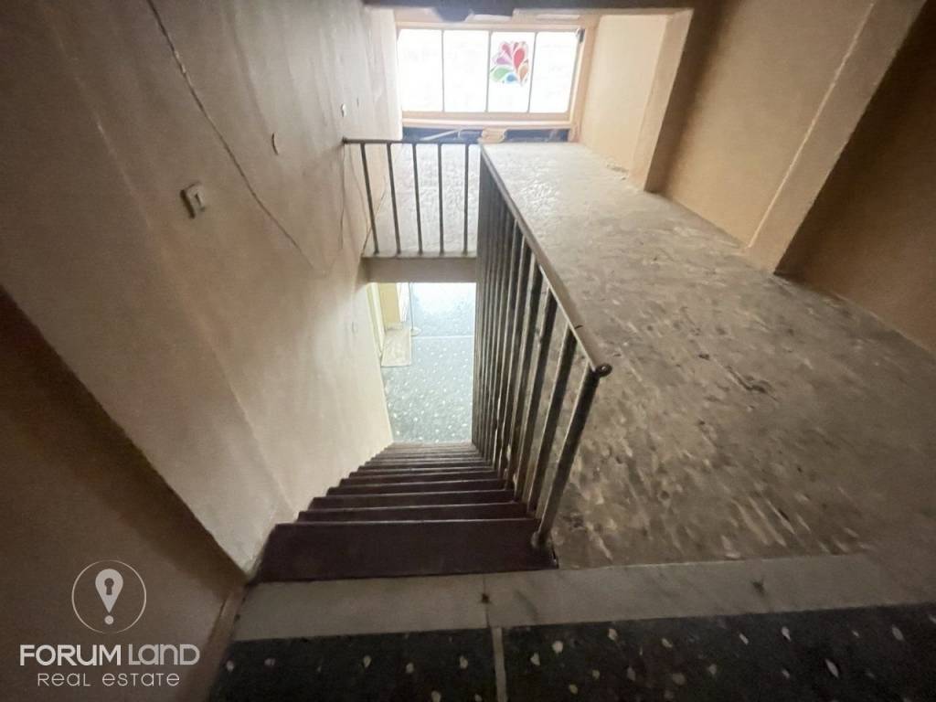 Forumland Real Estate, Πατάρι