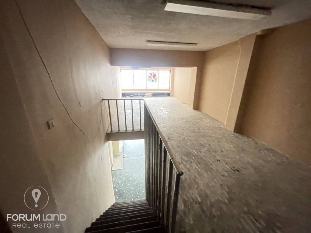 Forumland Real Estate, Πατάρι