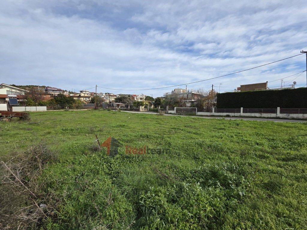 Εξωτερικοι χώροι