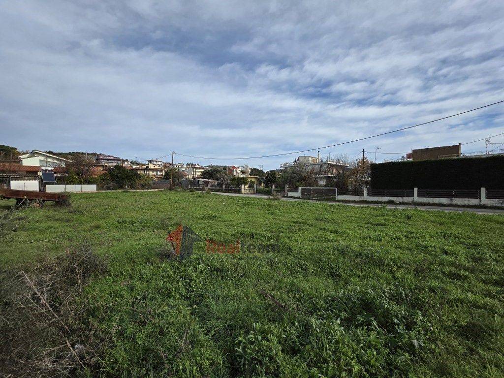 Εξωτερικοι χώροι