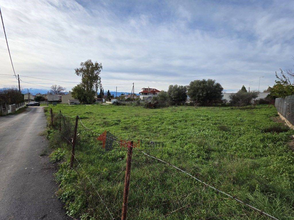 Εξωτερικοι χώροι