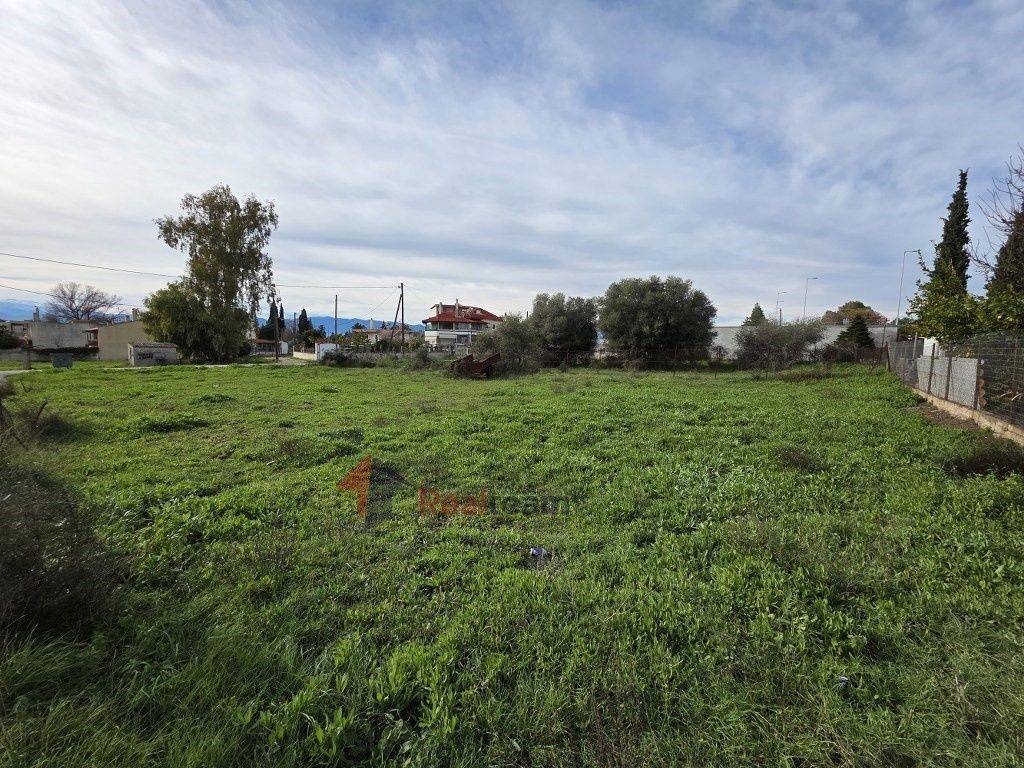 Εξωτερικοι χώροι