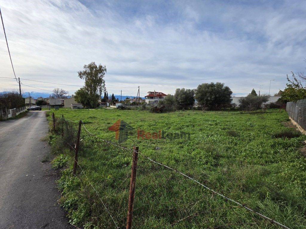 Εξωτερικοι χώροι