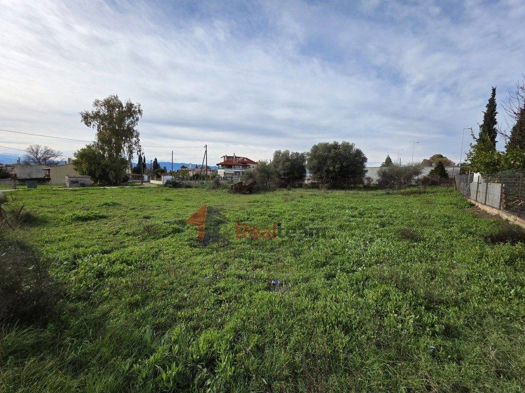 Εξωτερικοι χώροι