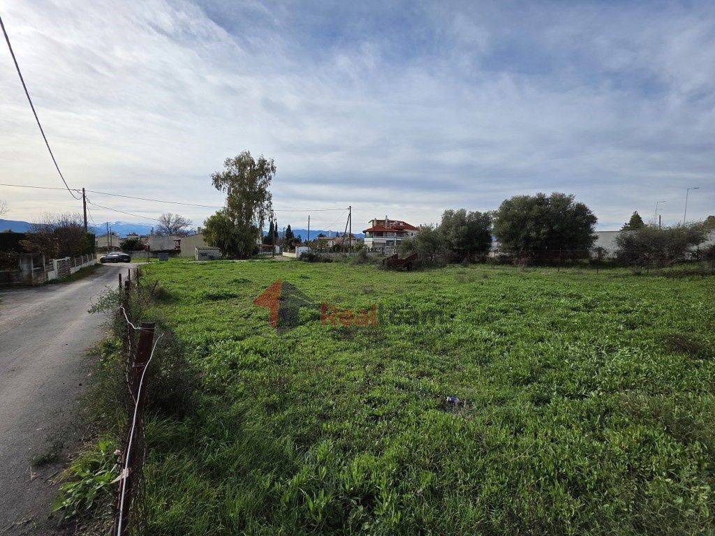 Εξωτερικοι χώροι