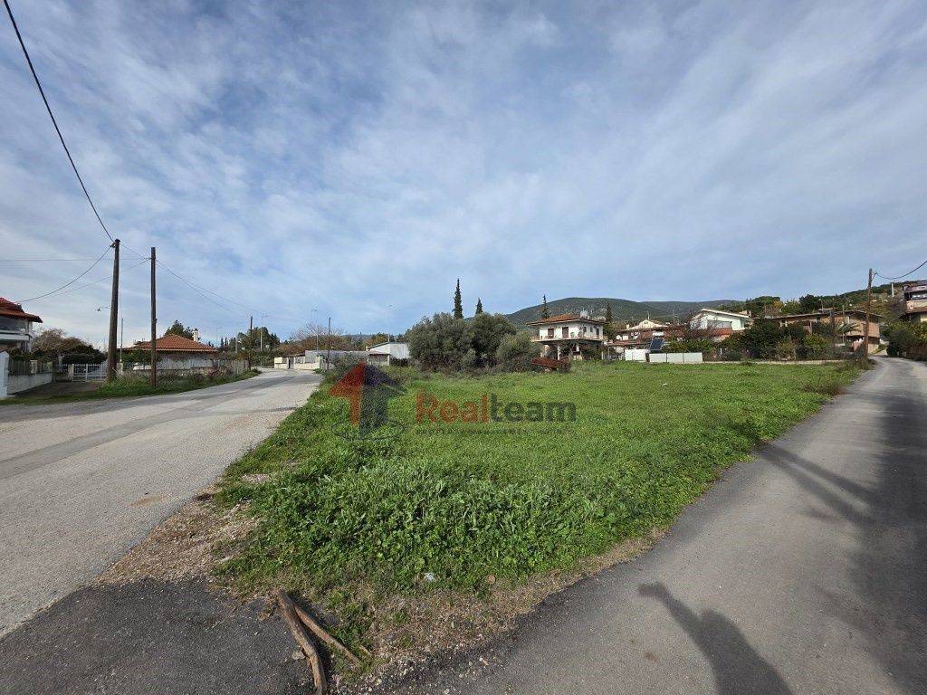 Εξωτερικοι χώροι