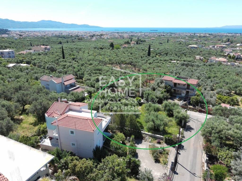 Εξωτερικοι χώροι