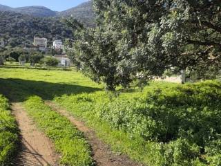 Plot - Grekodom 65447|1048588