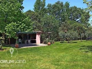 Forumland Real Estate, Exoterike Opse