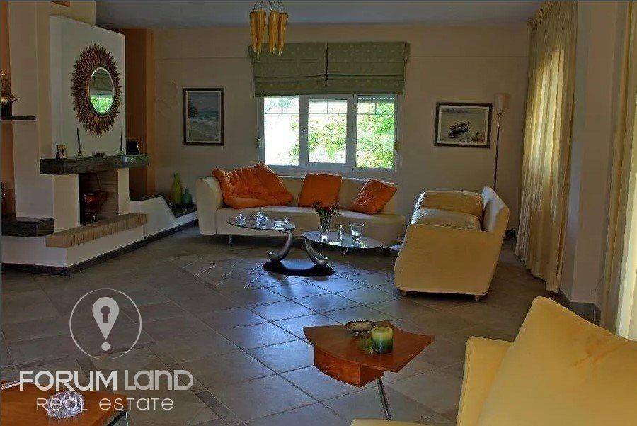 Forumland Real Estate, Saloni me tzaki