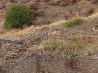 Εξωτερικοι χώροι