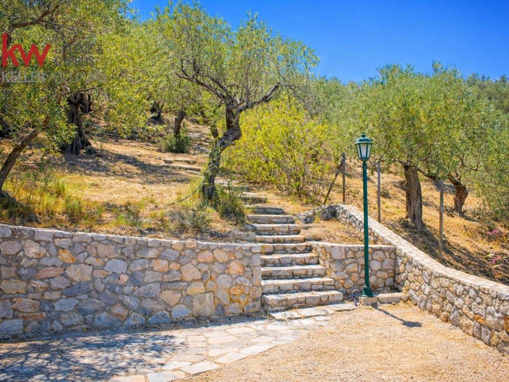 Εξωτερικοι χώροι