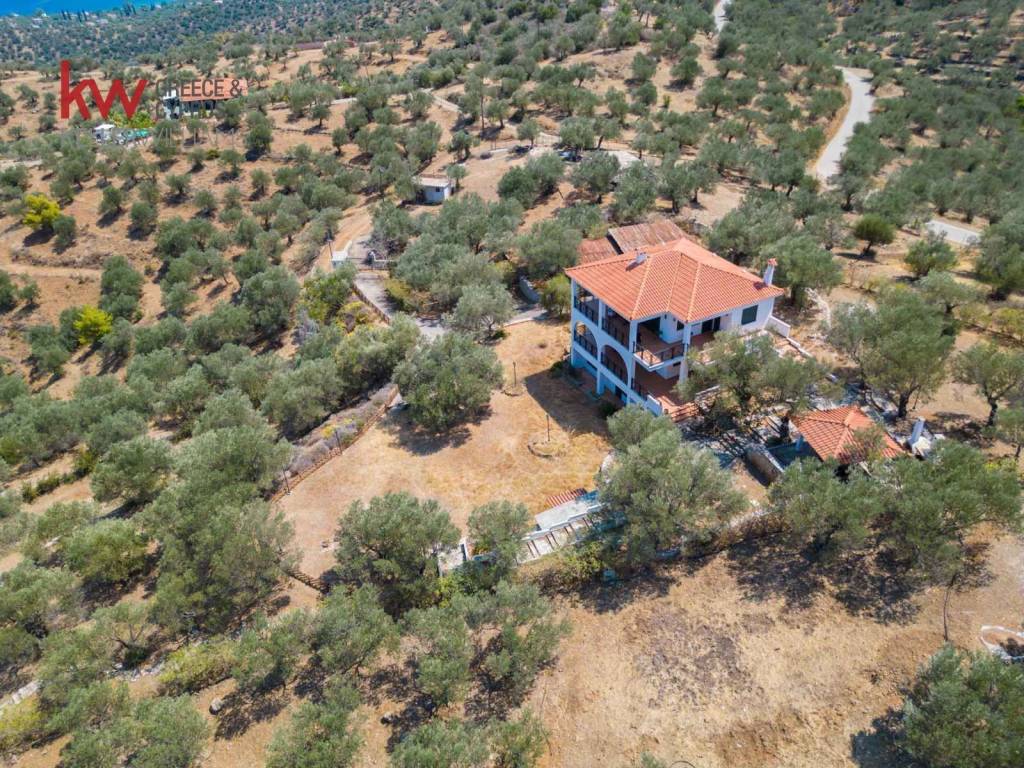 Εξωτερικοι χώροι