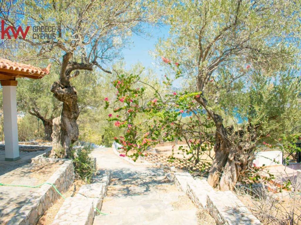 Εξωτερικοι χώροι