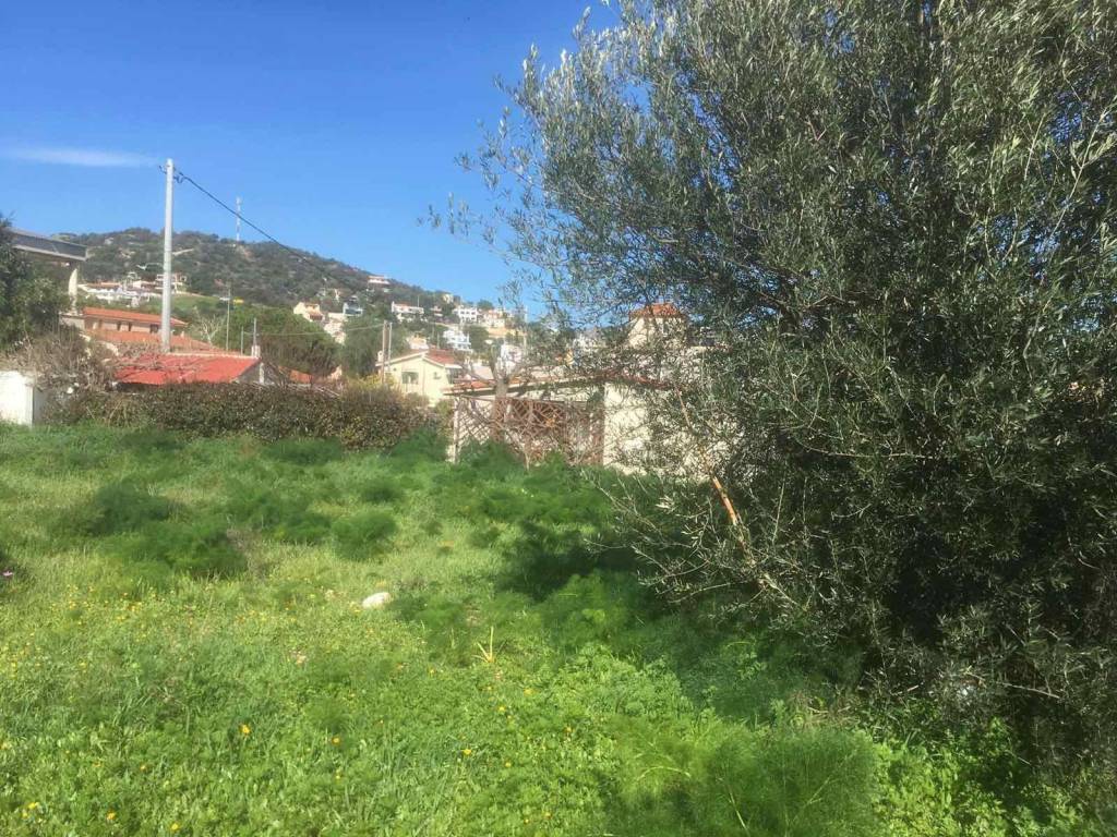 Εξωτερικοι χώροι