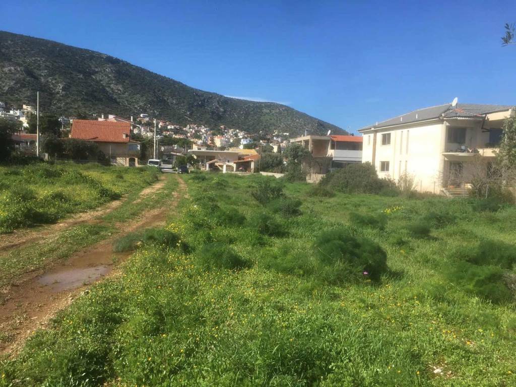 Εξωτερικοι χώροι