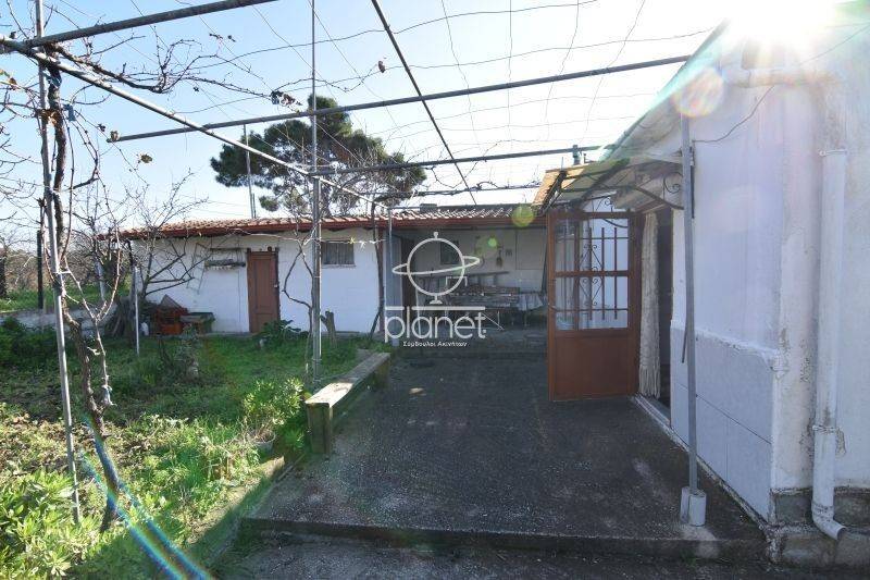 Εξωτερικός χώρος