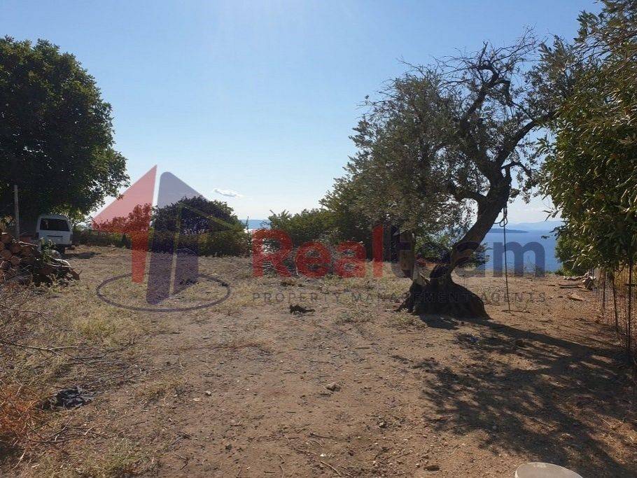 Εξωτερικοι χώροι