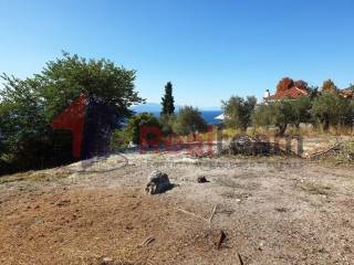 Εξωτερικοι χώροι